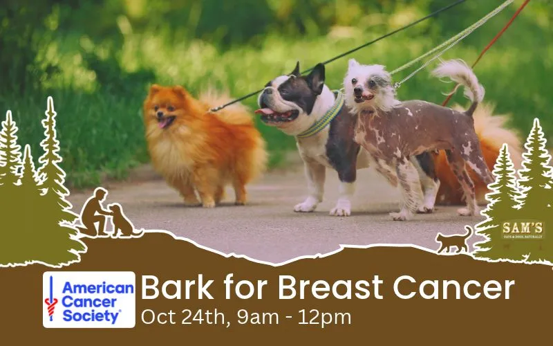 Image of Local Pet Event Bark for Breast Cancer | Everett WA Nearby