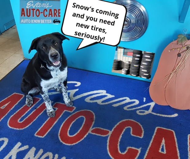 Images Evan's Auto Care - Car and Truck Repair