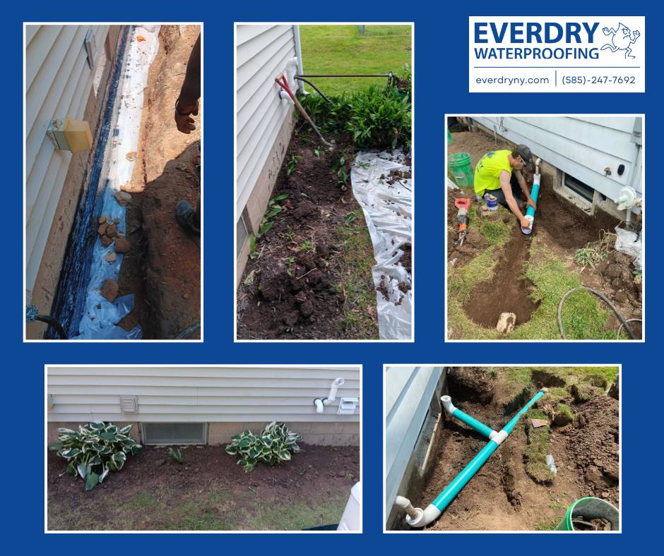 Everdry Waterproofing Image