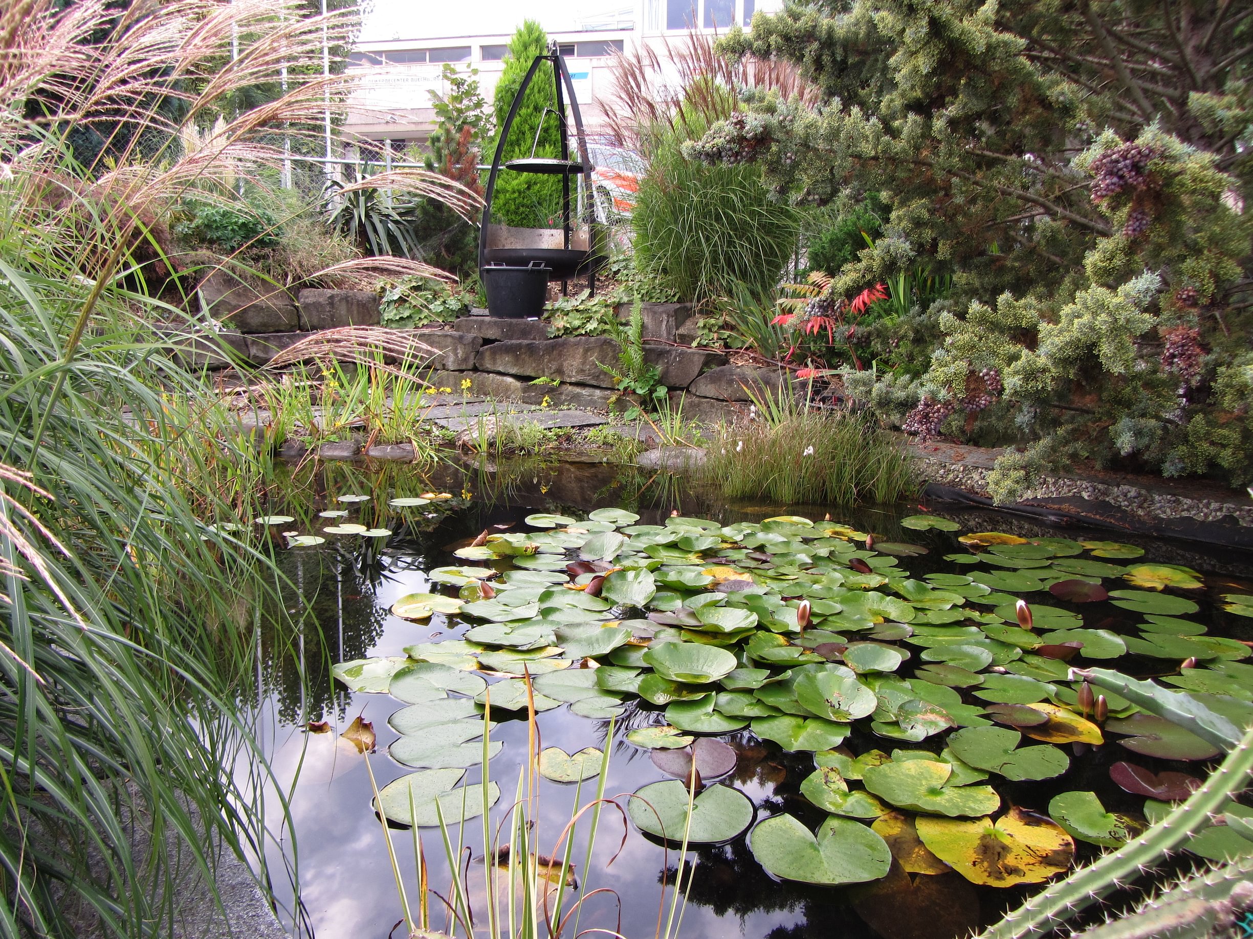 Gartenbau Mäder AG, Mesmerenweg 4 in Thal