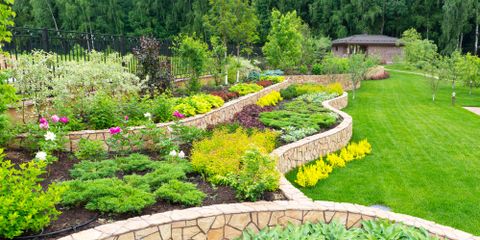 Images Rossi Landscaping, Inc.