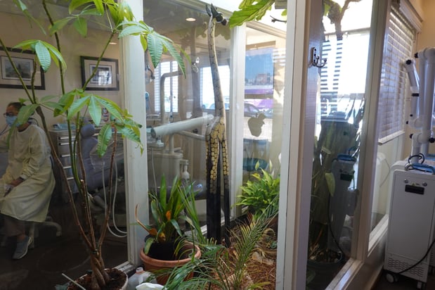 Images Matthew Lau, DDS FICOI