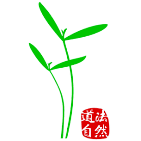 CHinatur Akupunktur und TCM Logo