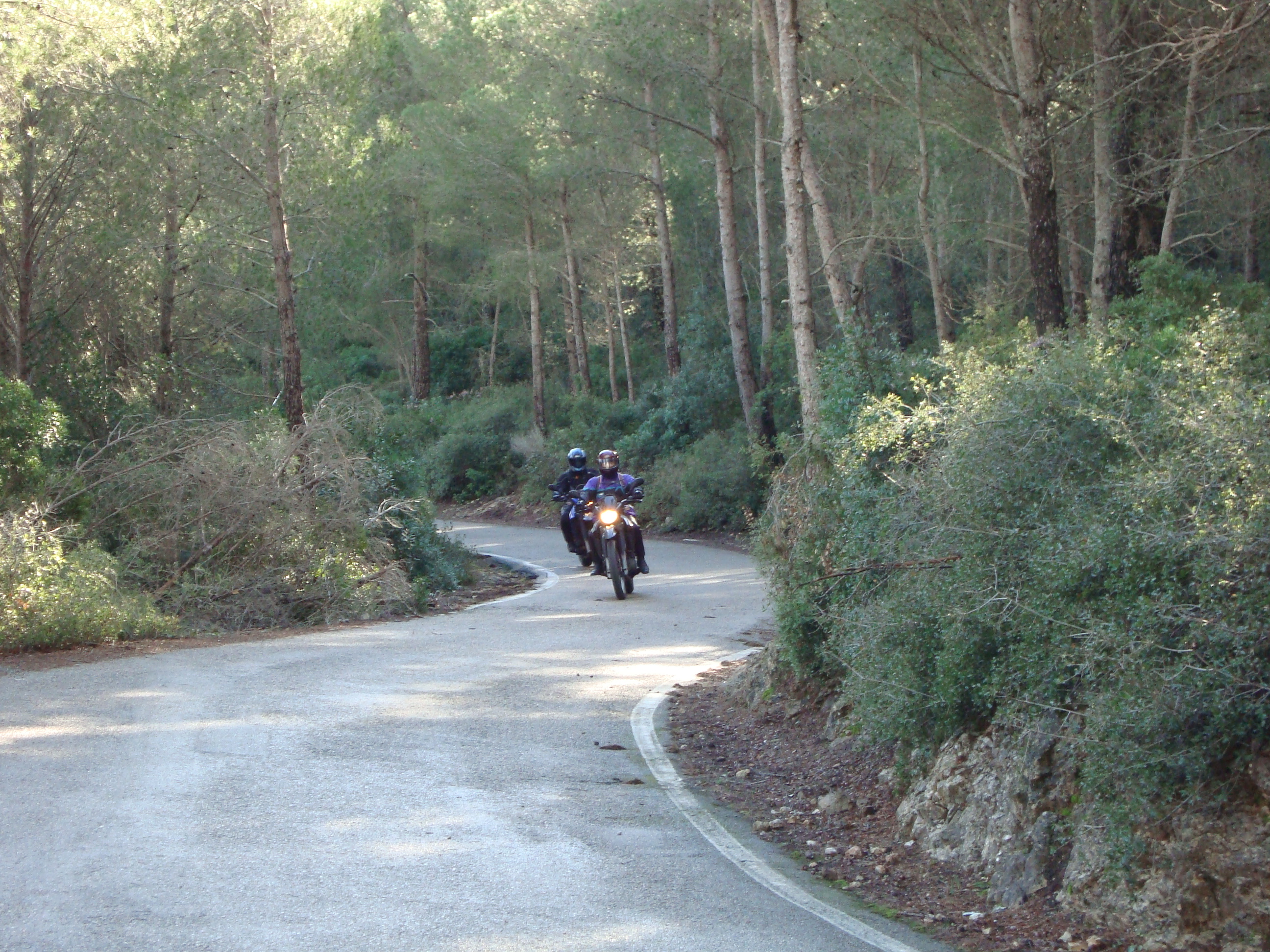 Fahrschule Peter Berger, Industriestrasse 16a in Volketswil