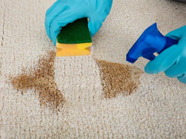 Images Eco Carpet Cleaning