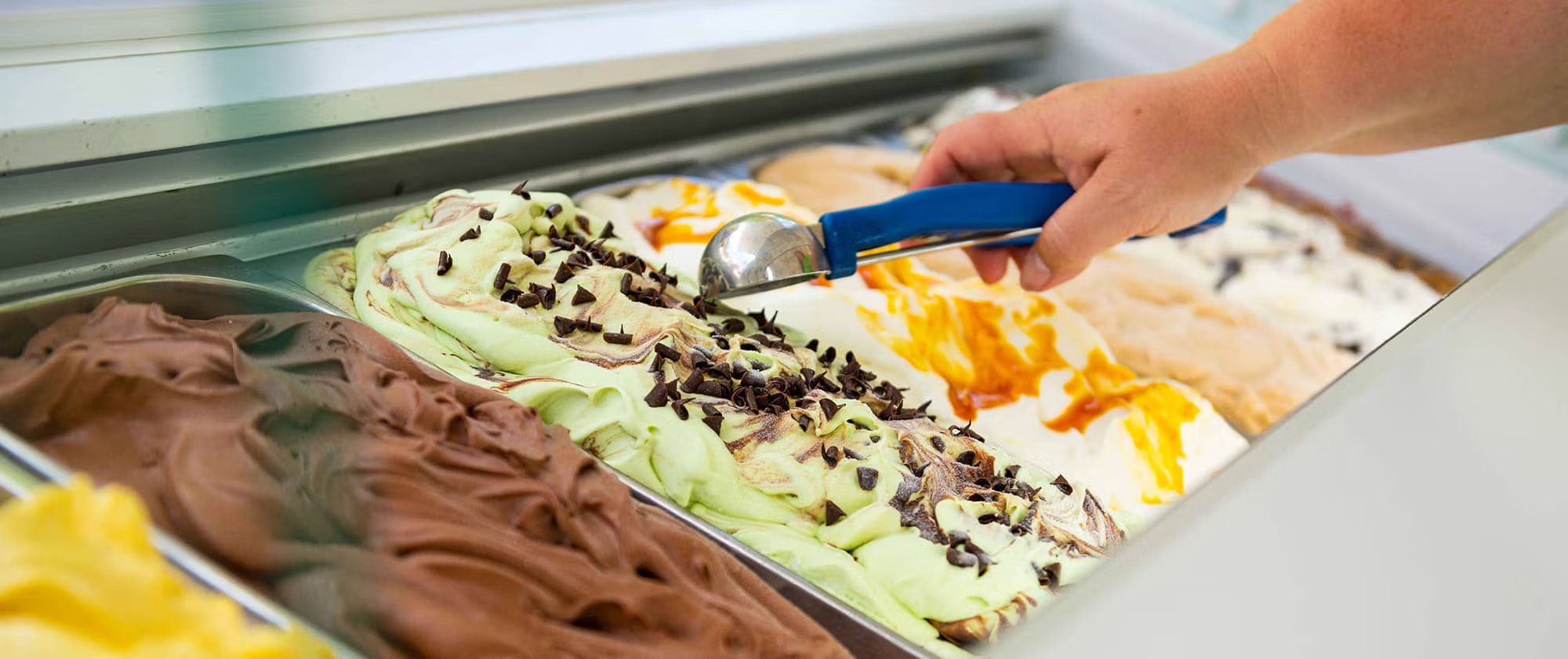 Bild 2 von Pobaschnig Krappfeldereis KG