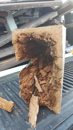 Images C. A. Luce Termite Control