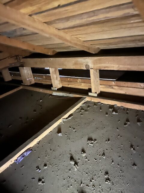 Images 関東駆除センター