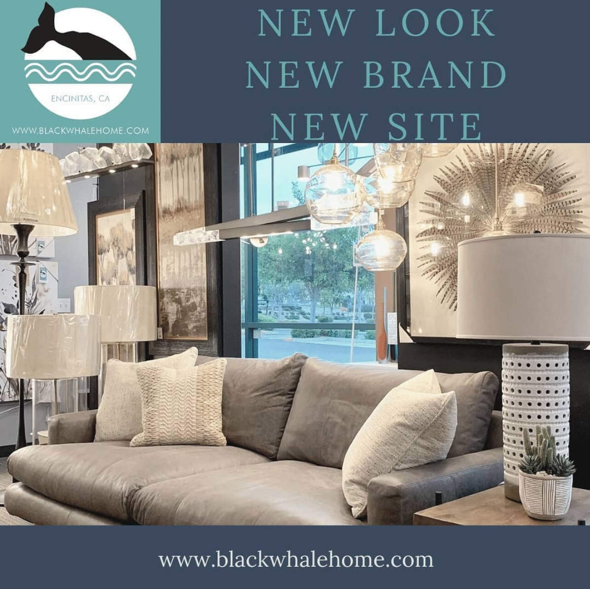 Black Whale Home Photo