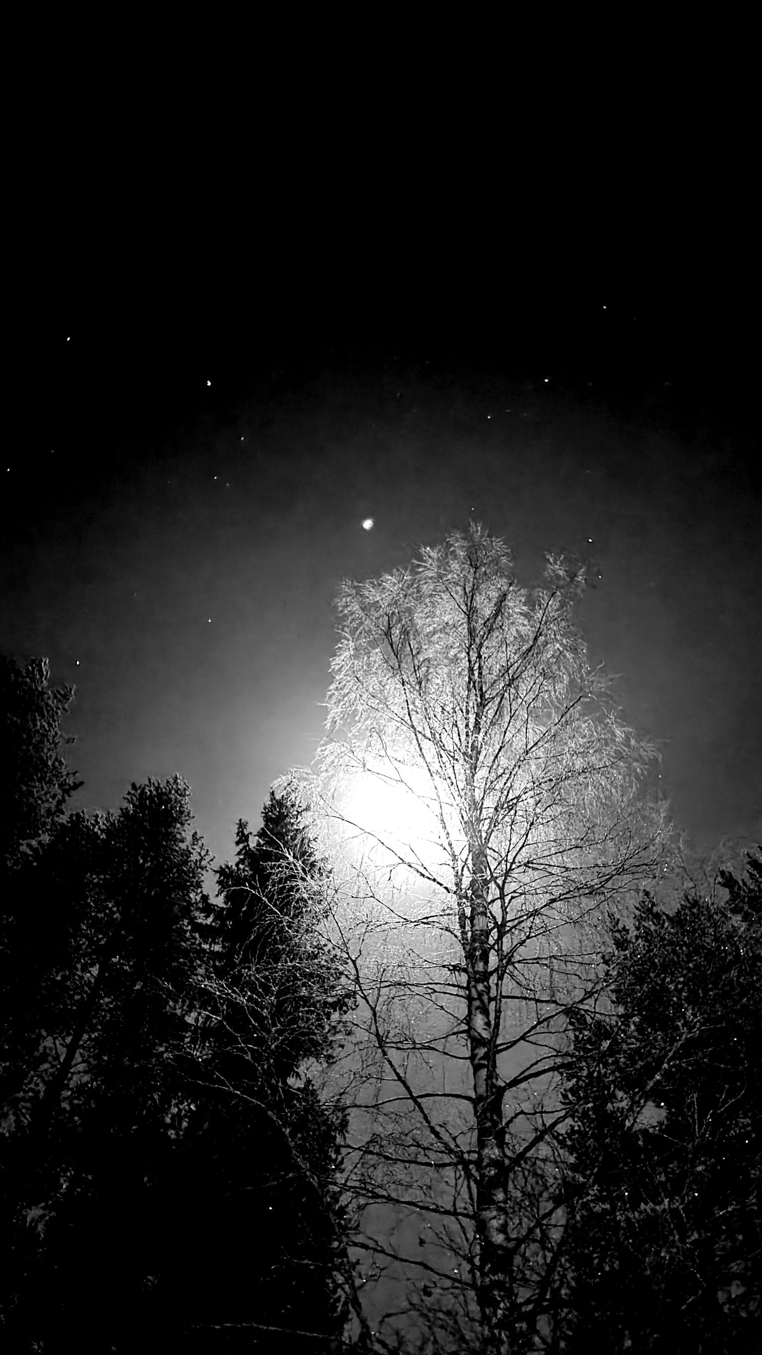 Images Korpiselkätalo