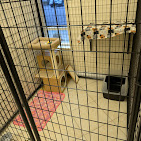 Images The Coastal Cat Resort And Spa