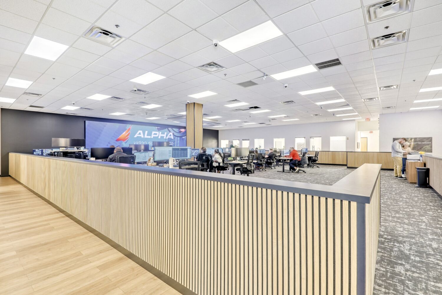 Alpha Video Surveillance Image