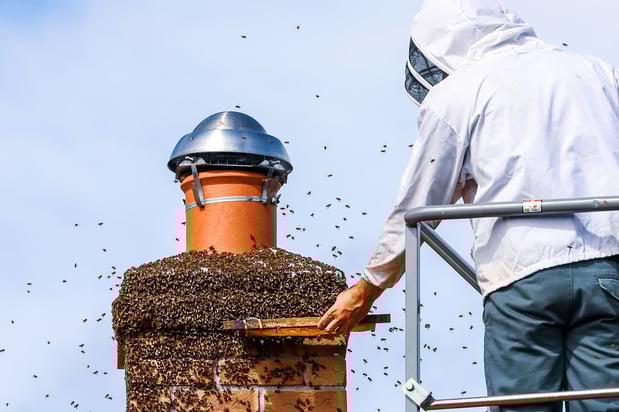 Images Garfield Pest Control