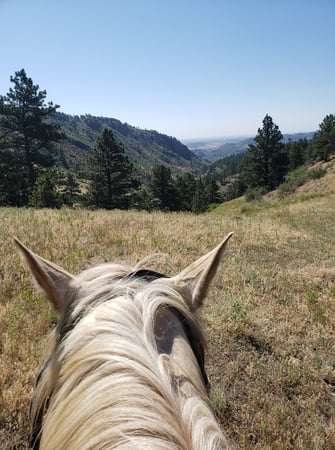 Images Sylvan Dale Guest Ranch & Wedding Venue