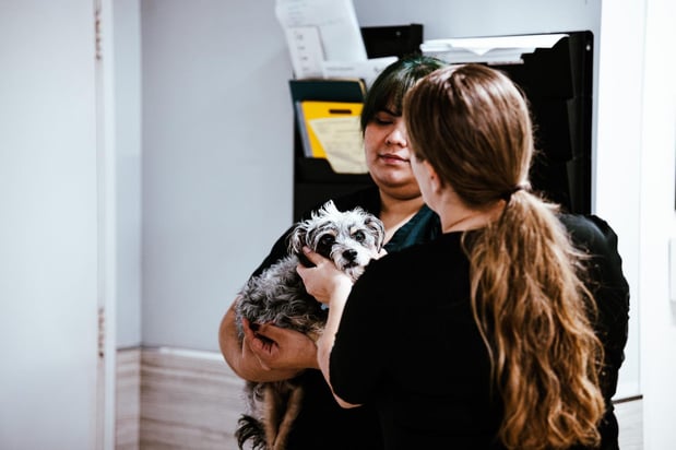 Images Imperial Animal Hospital