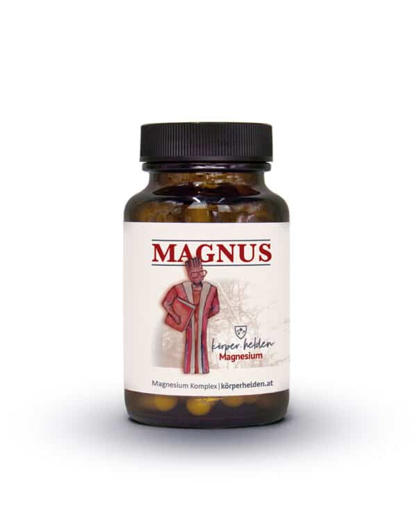 Bild 1 von körper.helden GmbH