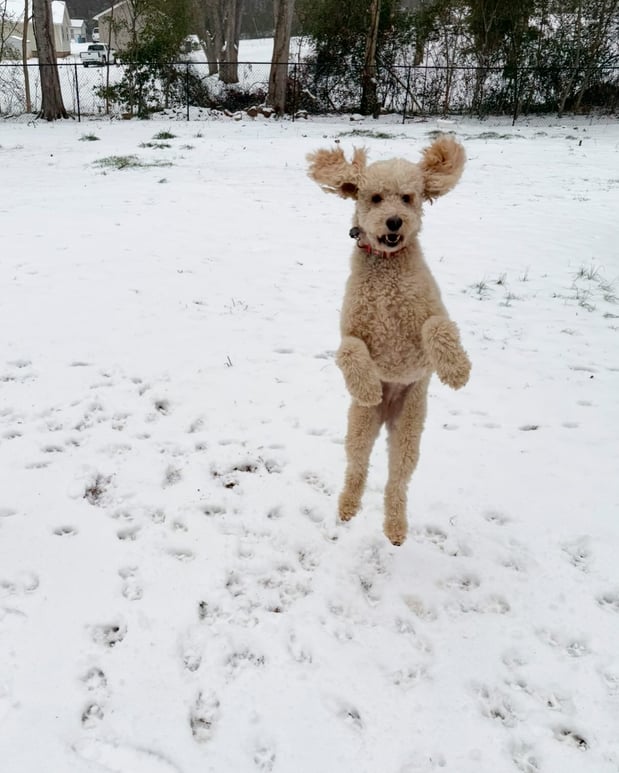 Images Matthew Maniscalco - State Farm Insurance Agent