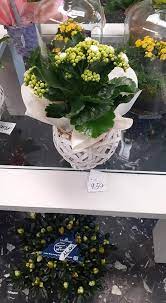 Images Tacchetti Fiori