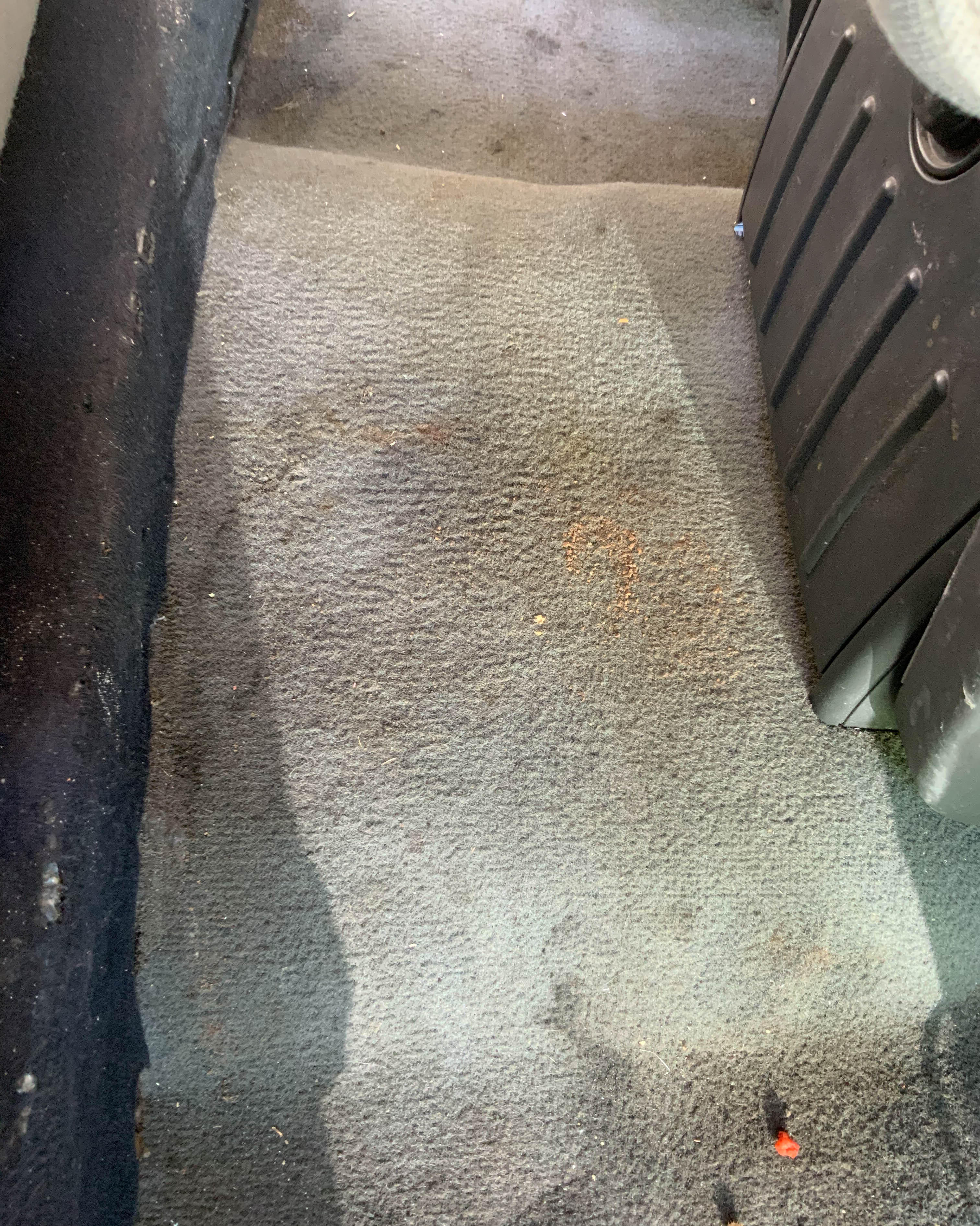 To fit any type of carpet or upholstery, SERVPRO of Mid City San Diego provides a variety of cleaning solutions.