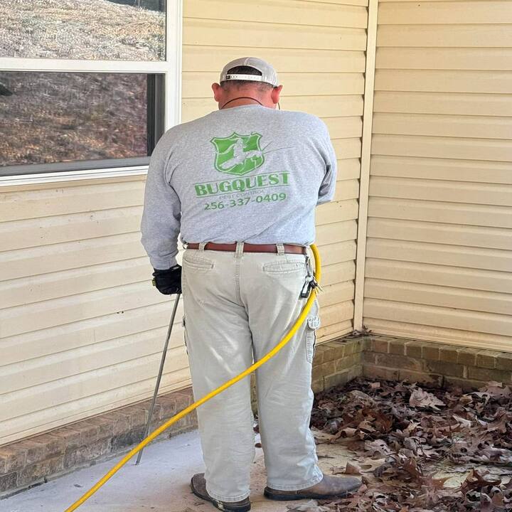 Images BugQuest Pest Control