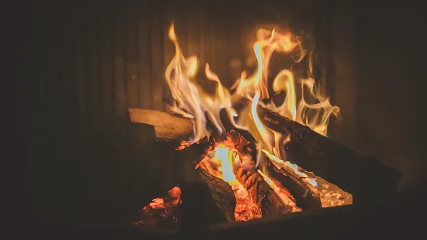 Warren County Firewood Image