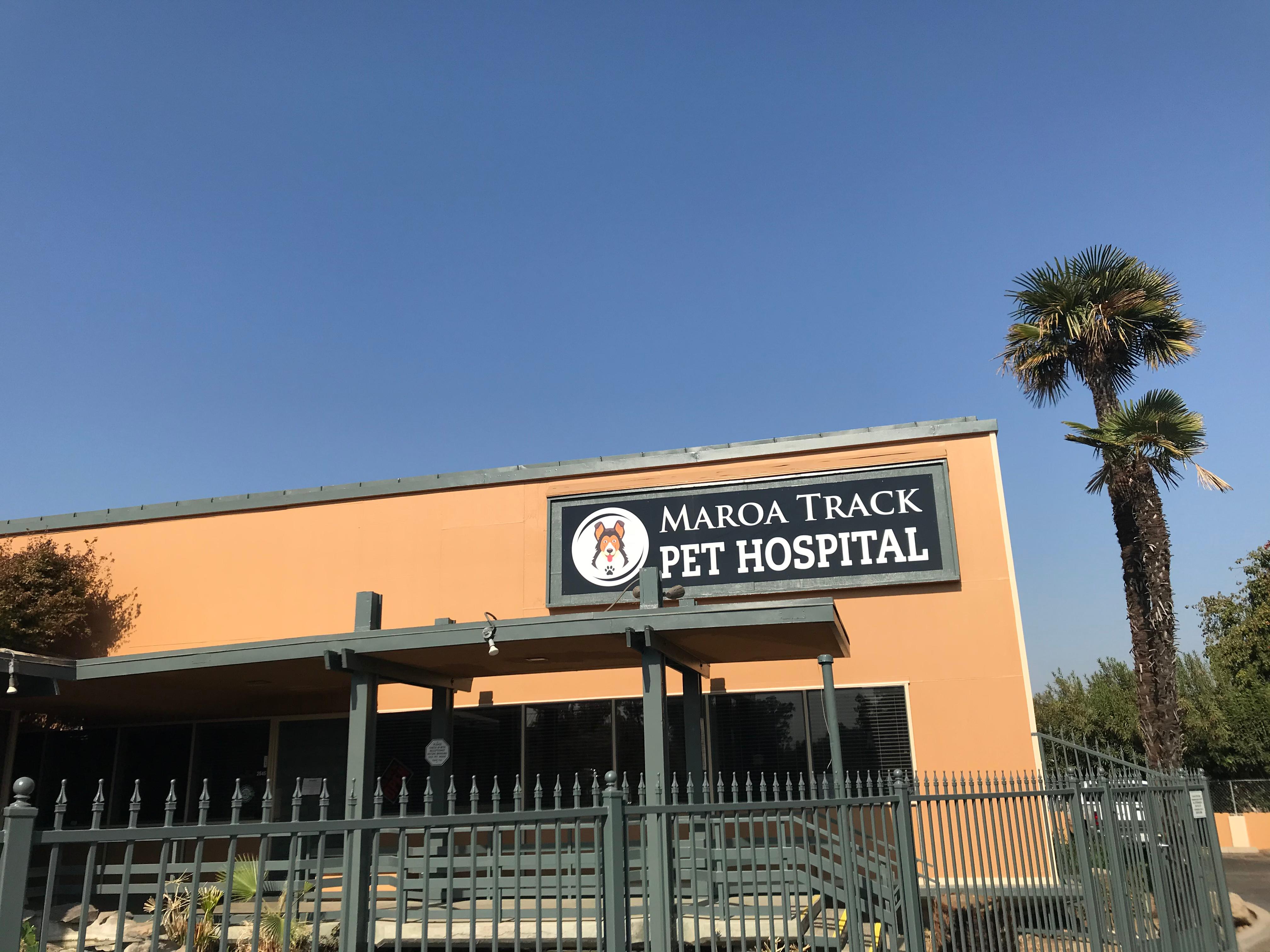 Image 5 | Maroa Track Pet Hospital