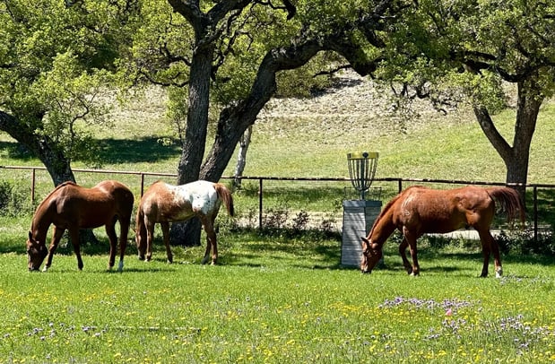 Images Helotes Hill Country Zip Lines