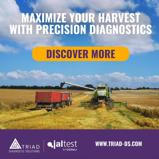 Images Triad Diagnostic Solutions, LLC