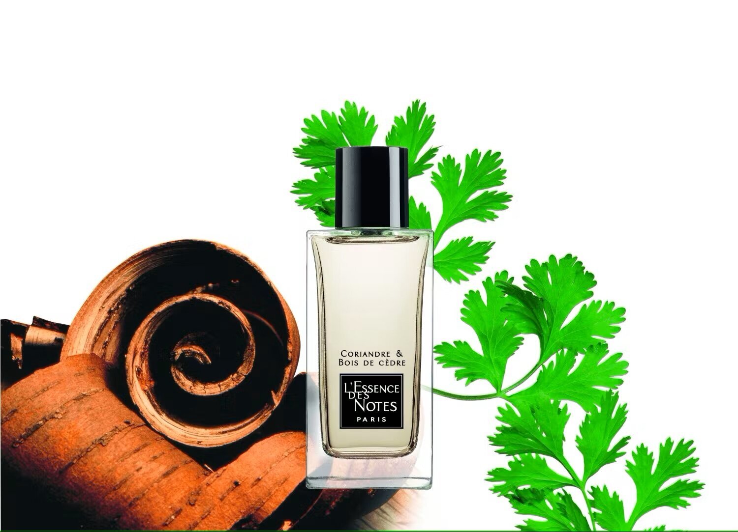 Schnupper Stübchen, Schulstraße 158 in Kamp-Lintfort