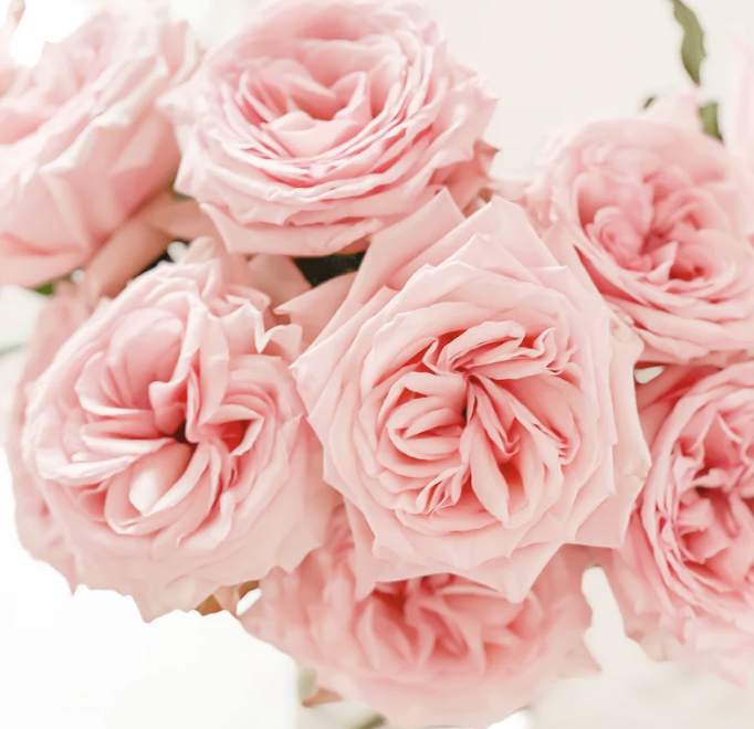Images Floral Obsessions