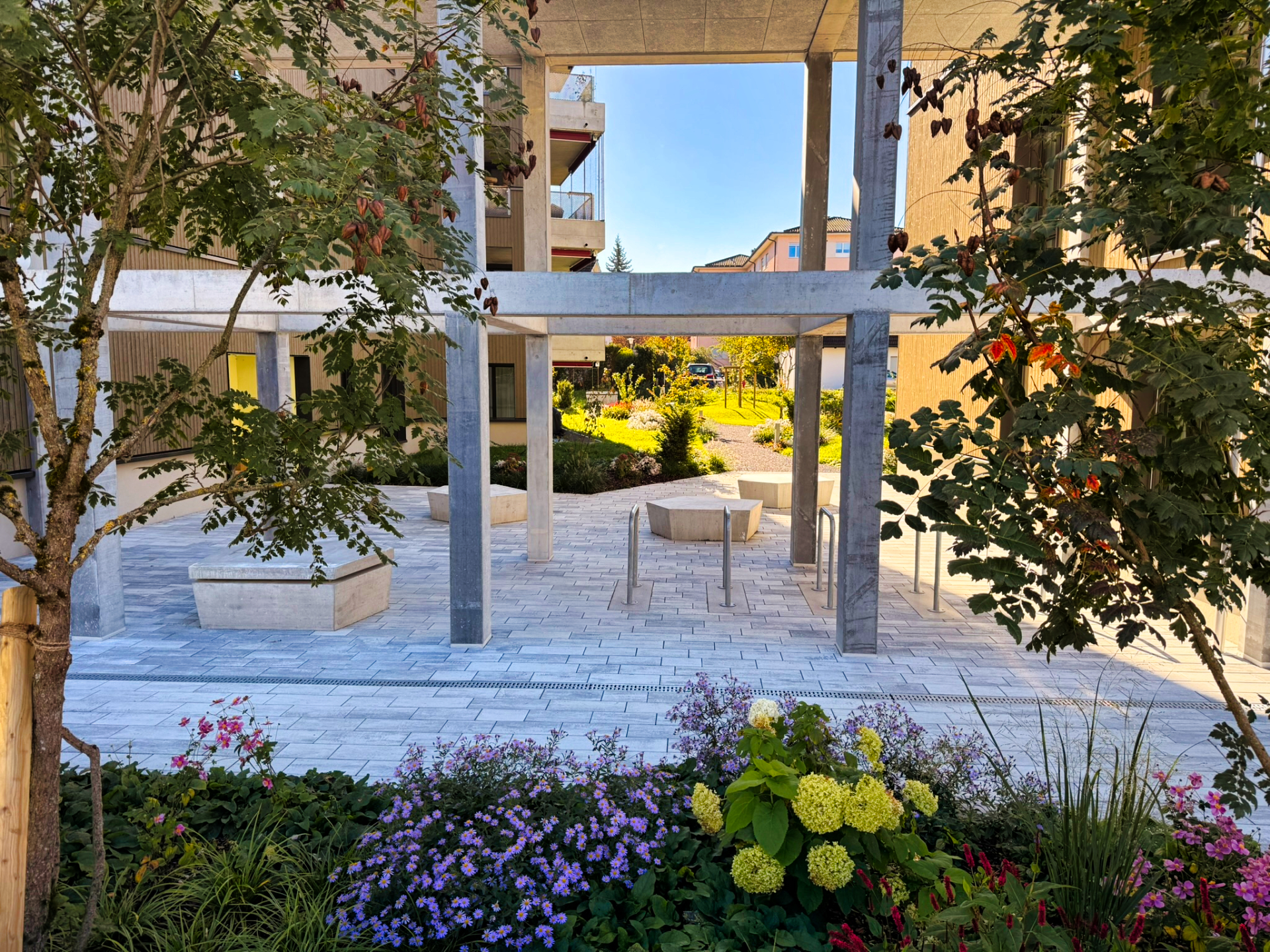 Bilder Schneebeli Blumen & Garten