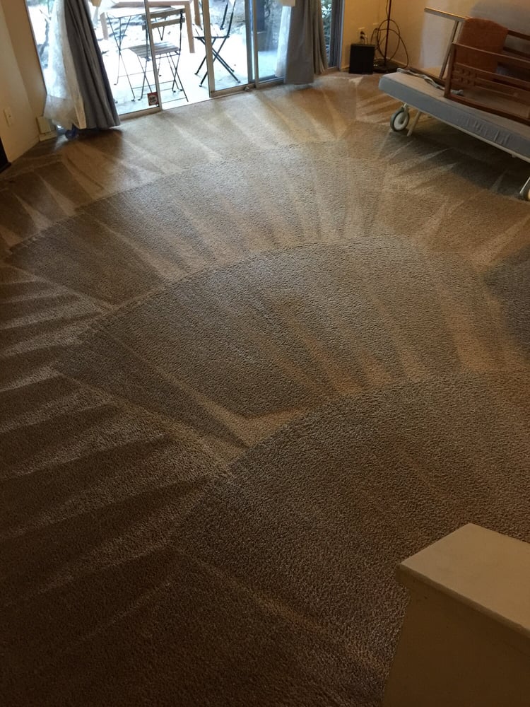 Able Body Carpet & Restoration Photo