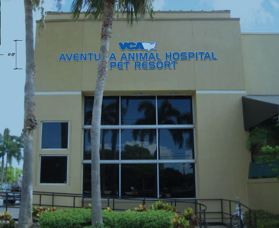 Welcome to VCA Aventura Animal Hospital & Pet Resort! VCA Aventura Animal Hospital & Pet Resort Aventura (754)216-1740