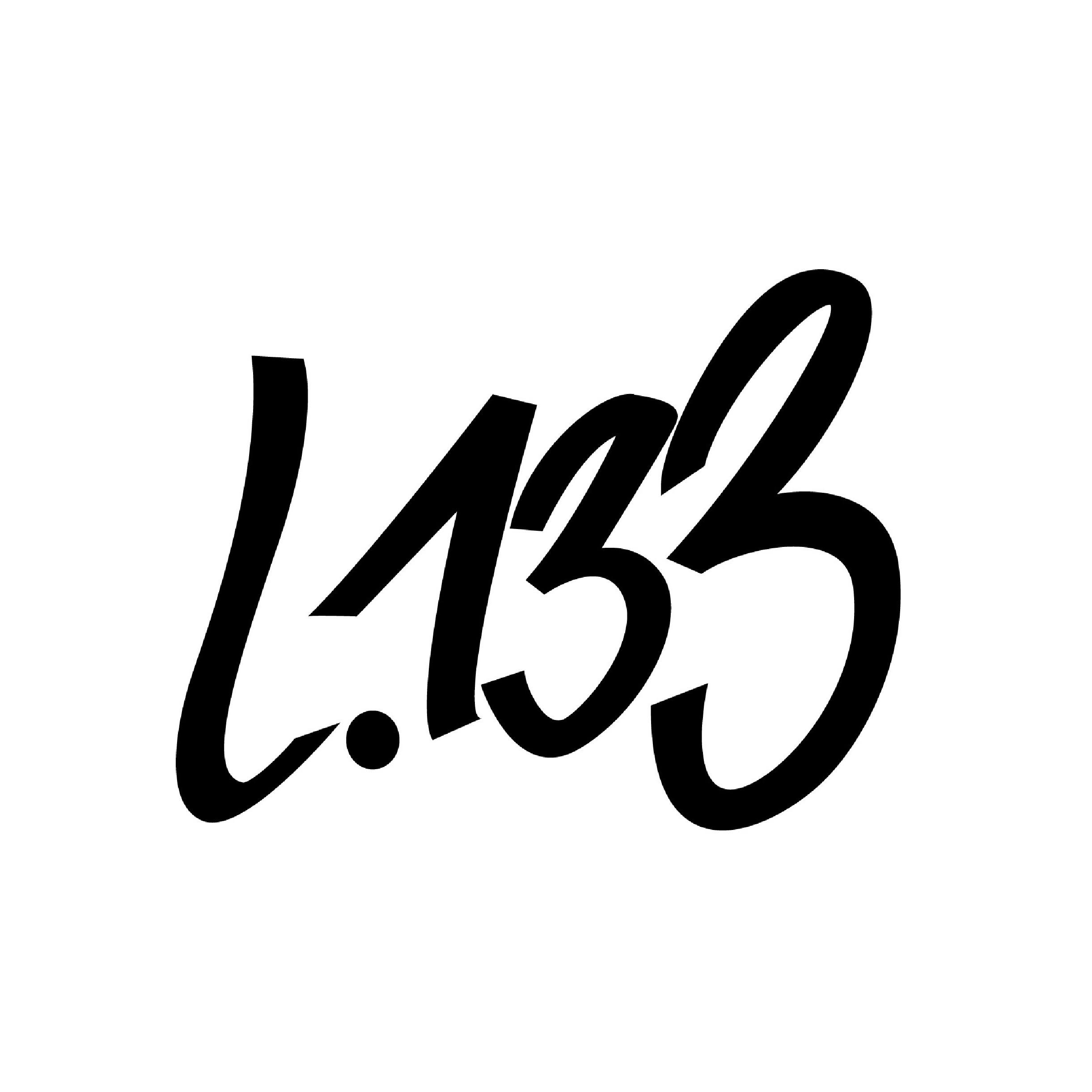 L133 chaussures (détail)