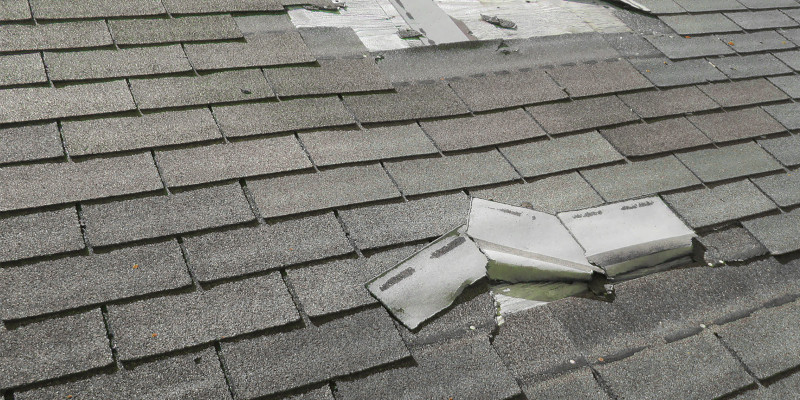 OUR ROOF REPAIR SERVICES ARE VARIED AND BENEFICIAL FOR DIFFERENT PROPERTY OWNERS.