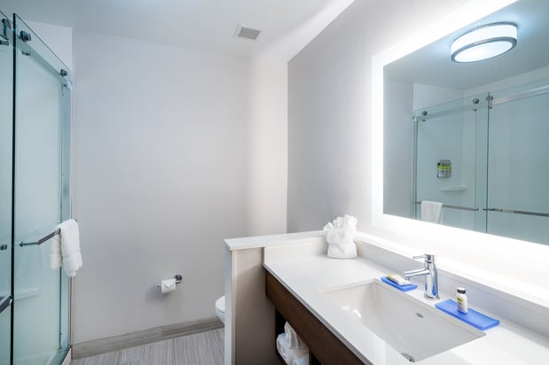 Images Holiday Inn Express & Suites Atlanta Airport NE - Hapeville by IHG