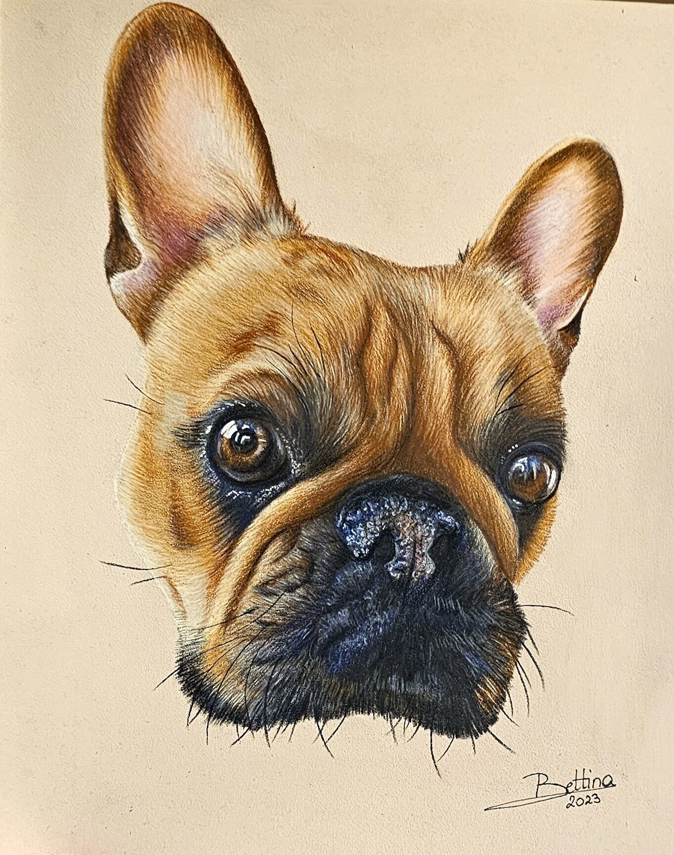 Bild 1 von BDpainting