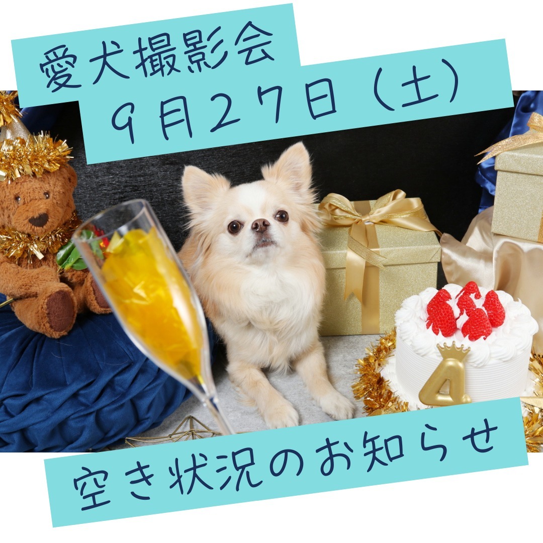 Images たまとポチ 宇津木店