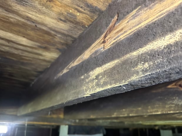 Images Ox Foundation Solutions