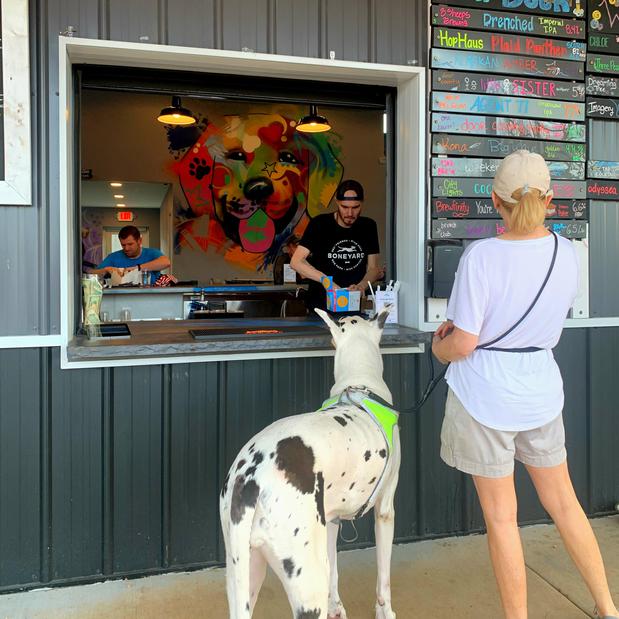 Images The Boneyard Dog Park and Sports Bar