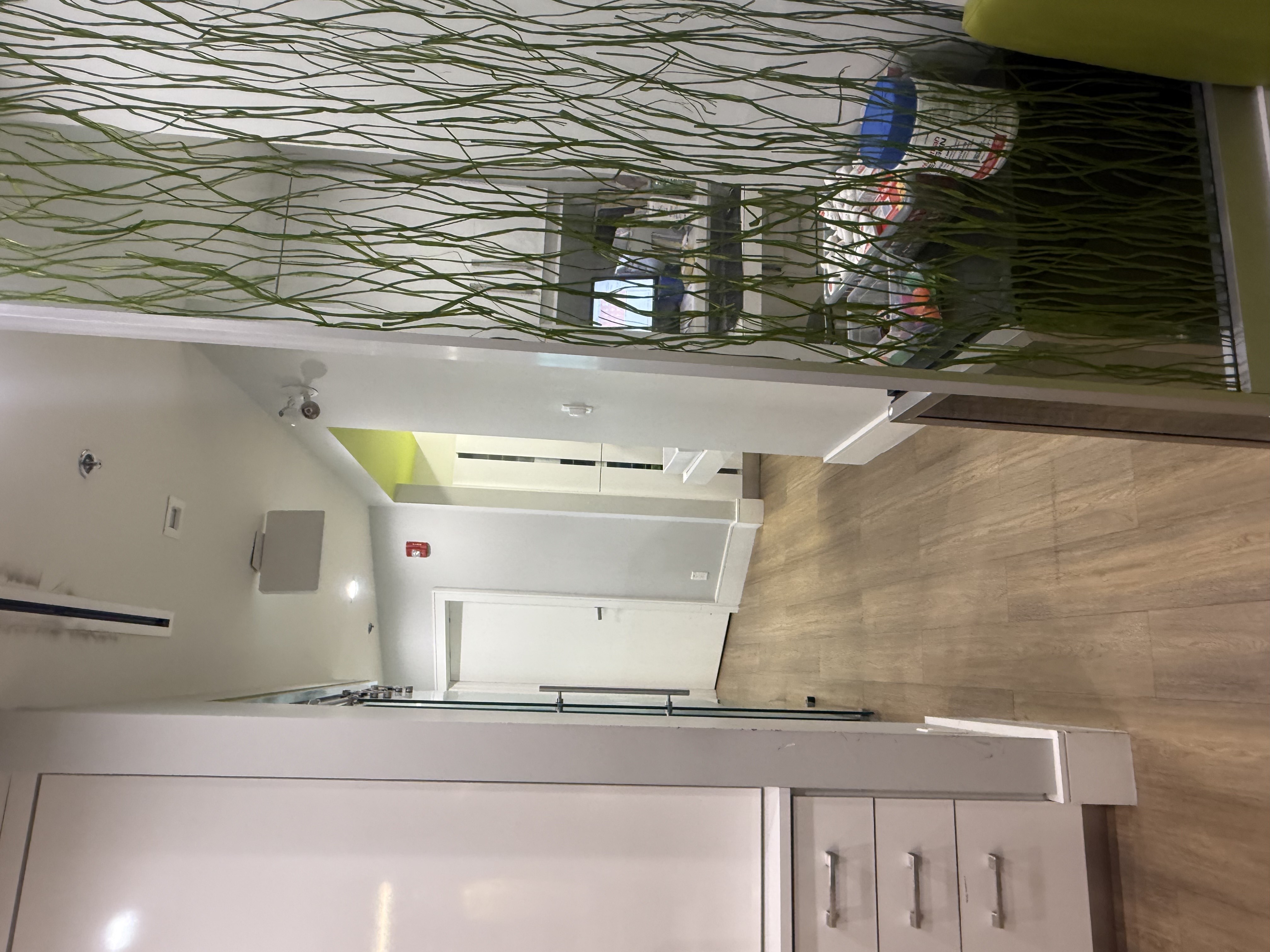 Images Treehouse Dental Care - Thornhill