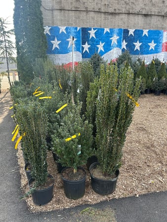 Images Victory Nursery & Landscaping Inc
