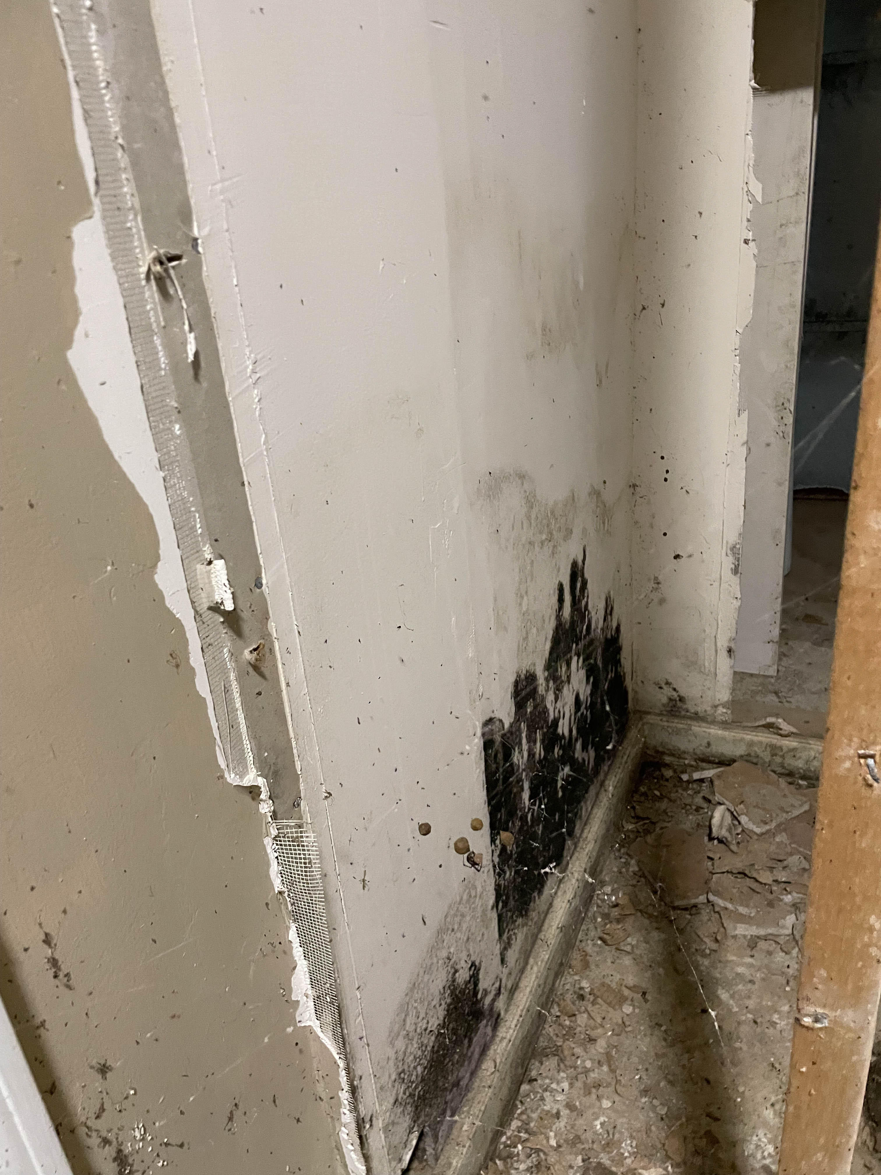 Excess moisture after a water event can lead to multiple secondary issues such as black mold and rot.  SERVPRO of West Knoxville is your trusted local leader in water and mold restoration. Give us a call!