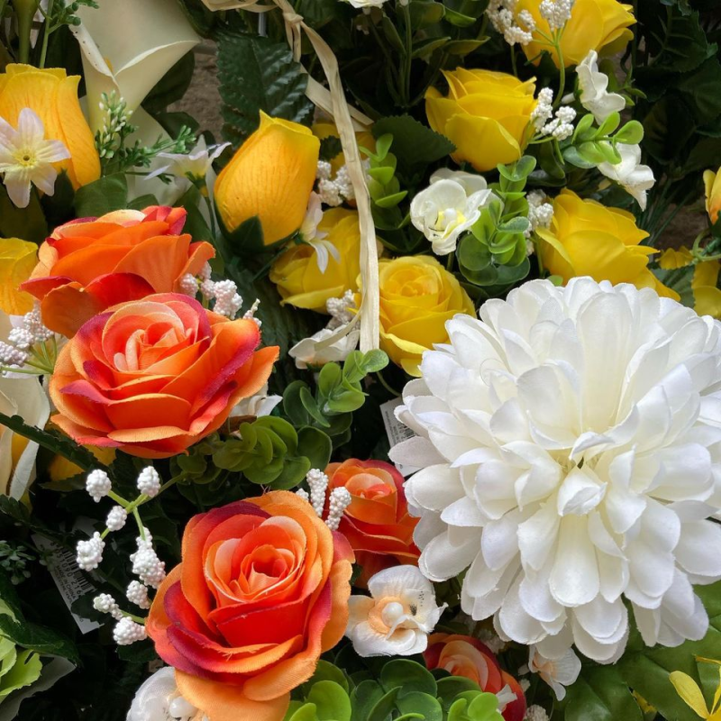 Images La Tualette Piante e Fiori