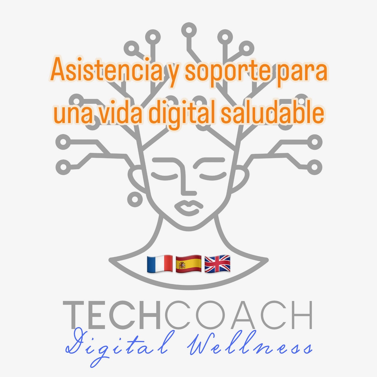 Images Techcoach Guru