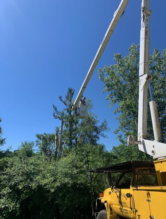 Images Andy's Tree Service