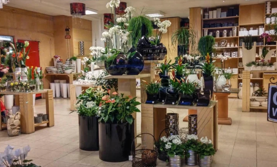 Bayer Blumen Moderne Blumengestaltung Eingang Augsburgerstr., Kirchbergstr. 2 in Augsburg