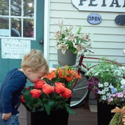Capucine's Florist & Boutique-Wedding Flowers Stratton Mountain