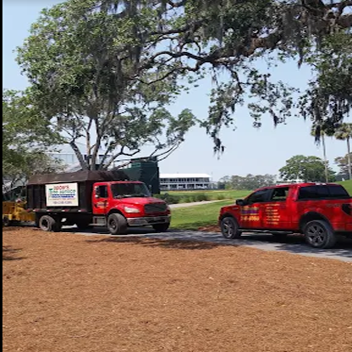 Images Odoms Beaches Tree Service