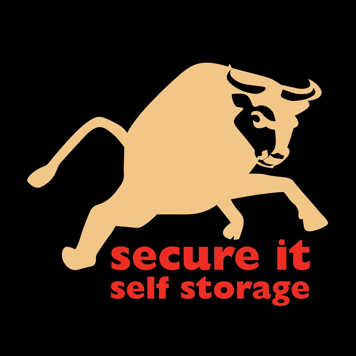 Secure It Self Storage Logo